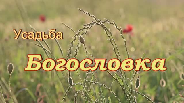 Усадьба Богословка