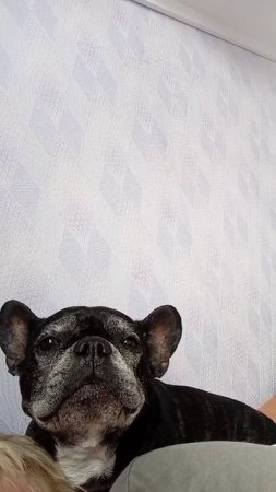 Меня срочно нужно пожалеть🙂