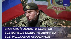 В последнее время в Курской области сдается все больше мобилизованных ВСУ, рассказал Алаудинов