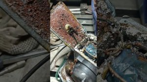 компрессор AirMac DB 150