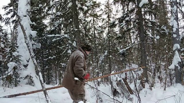 Востановил капкан.Прогулка по путику..mp4 смотреть онлайн