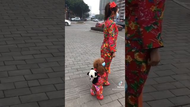 Собачка. смотреть онлайн