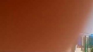 Собаки в ПВС Чистый Город