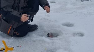 сёмкина 2 в комаровке