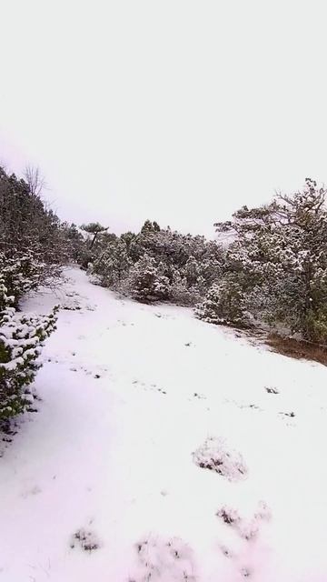 Новый Свет в снежном плену. Февраль.