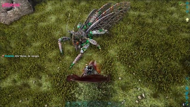 COMO DOMESTICAR AL RHYNIOGNATHA SIN TRAMPA ! | Lost Island | Ark Survival Evolved | #Vattghornn смотреть онлайн