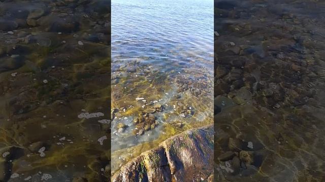 Анапа 14.02.2025
немного чистого 
моря.