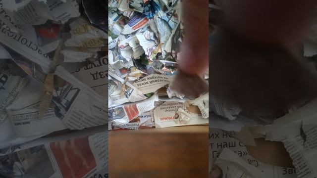 Мой любимый хомяк в новом большом доме смотреть онлайн