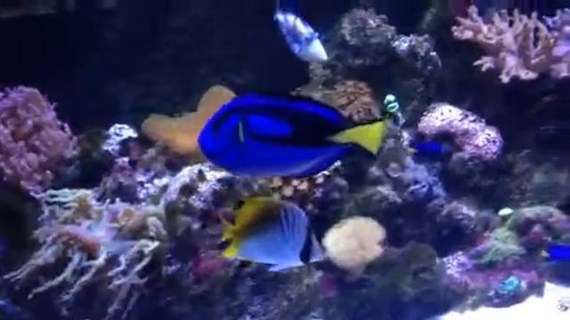 Аква 520 смотреть онлайн