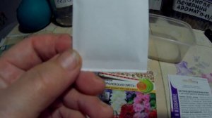 выращивание из семян левкоя