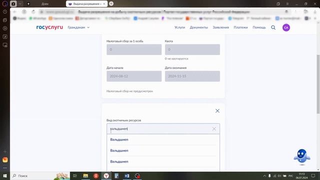 Как получить разрешение через госуслуги?