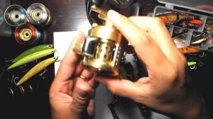 TALK SHIMANO CALCUTTA CONQUEST 201