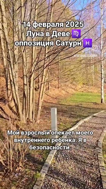 #14февраля2025 #гороскопдня