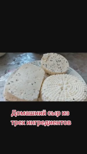 Домашний сыр из молока