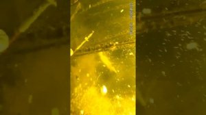 Подводная охота 2015