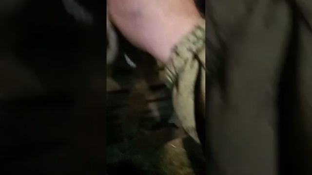 дед пошел по тёлкам,встретил кобыл и овцу😂😂🤣🤣😭😭😭😭 смотреть онлайн