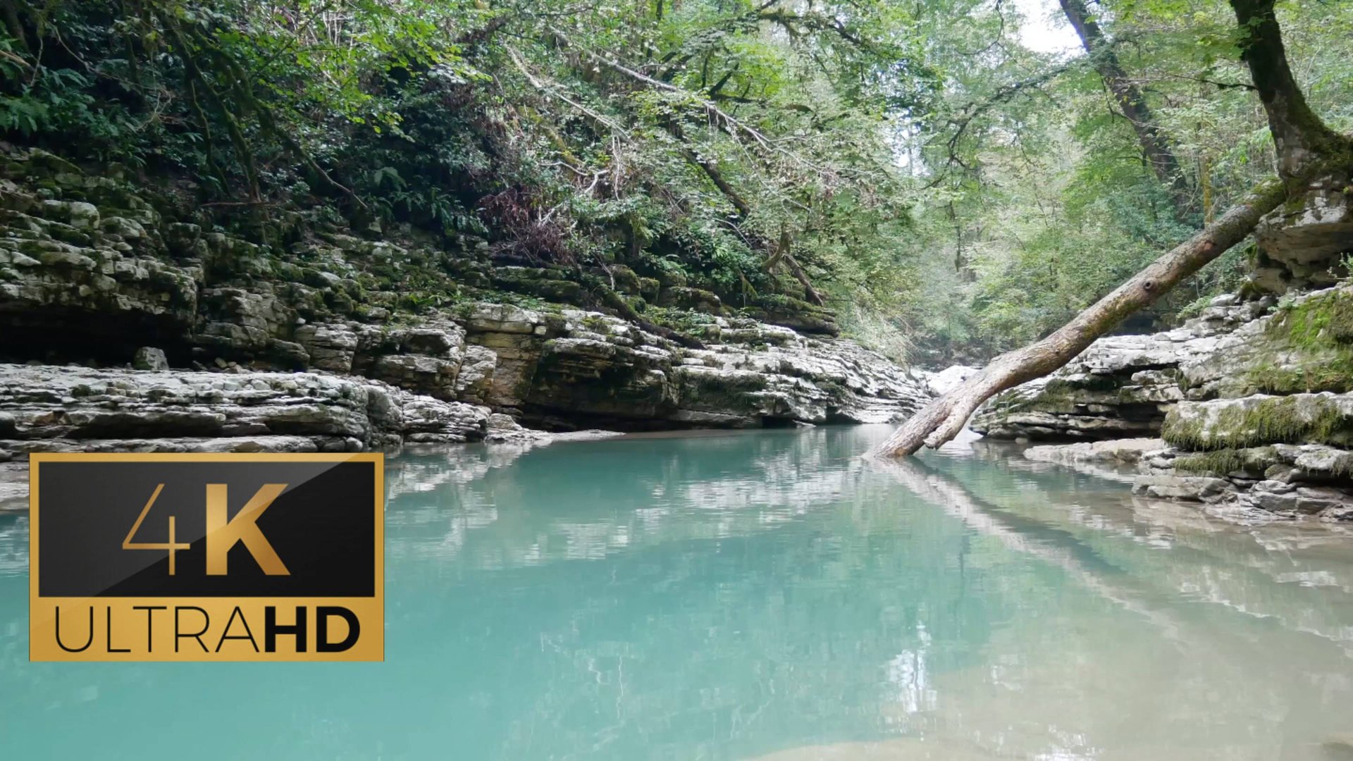 Спокойная горная река. Расслабляющие звуки воды и птиц.  Canyon Calm River. 1 час. 4K