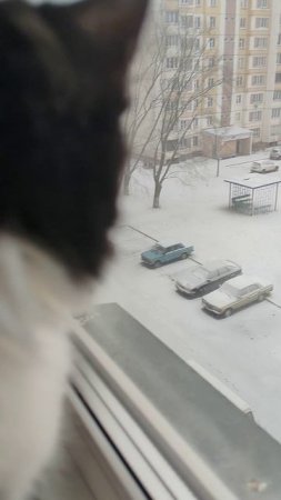 Всё-таки он выпал))
