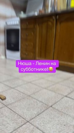 Почему Нюша - бобёр?🧐