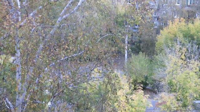 уходит лето# видео для монтажа, продолжительность кадра 1 минута. смотреть онлайн