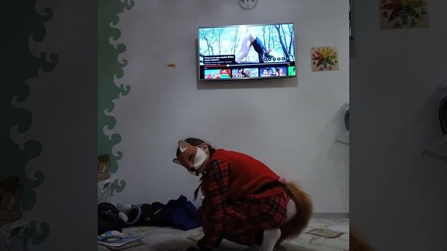 туториал На Рысь, Хотьбу, Бег смотреть онлайн