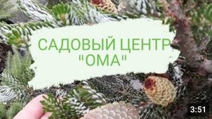 САДОВЫЙ ЦЕНТР "ОМА"  8.07.2023г.