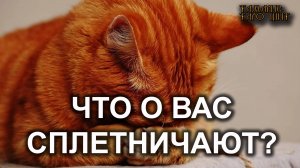 Что о вас сплетничают?🔥 🔥 #таро#tarot#gadanie#онлайн#гадание#расклад#таролог