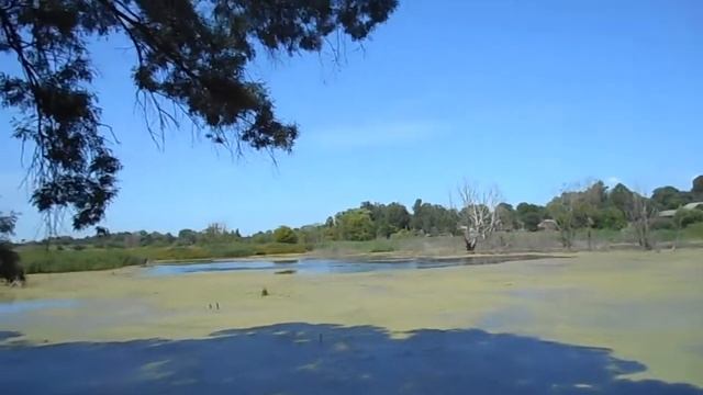 Анна в селе Селище Почепского района смотреть онлайн