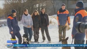 Хвостатые сотрудники приходят на помощь спасателям