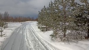 Пасмурный день февраля.