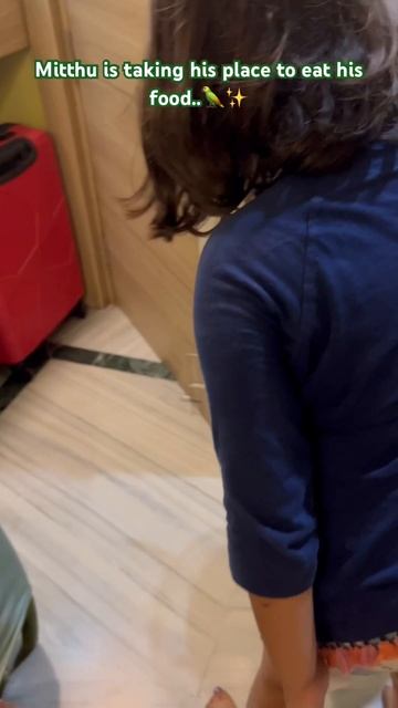 Mama ka mitthu..🦜✨ смотреть онлайн