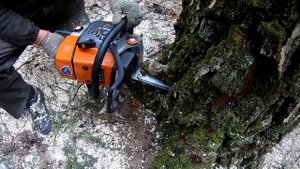 Заменили одну вещь и пила начала резать // Бензопила Holzfforma G366