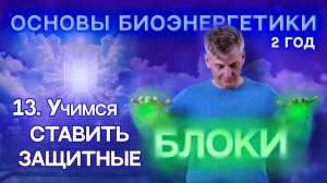 13. Учимся работать с "Защитными Блоками". "Основы Биоэнергетики 2 Год."