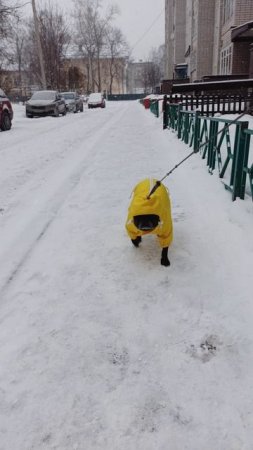 кто это