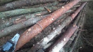 Не понимаю, что вас не устраивает в этой прошке??? // Бензопила ZimAni 365PRO