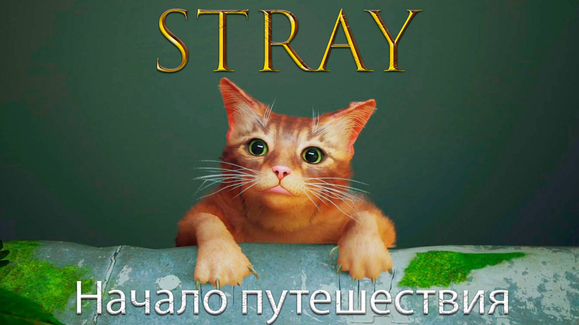 Stray/Бездомный - Начало - Прохождение игры часть 1