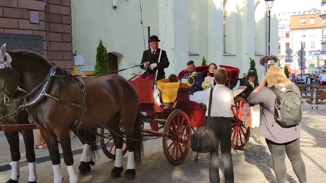 31 июля 2021 Свадьба смотреть онлайн