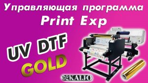 Управляющая программа Print Exp| UV DTF GOLD KAIJO