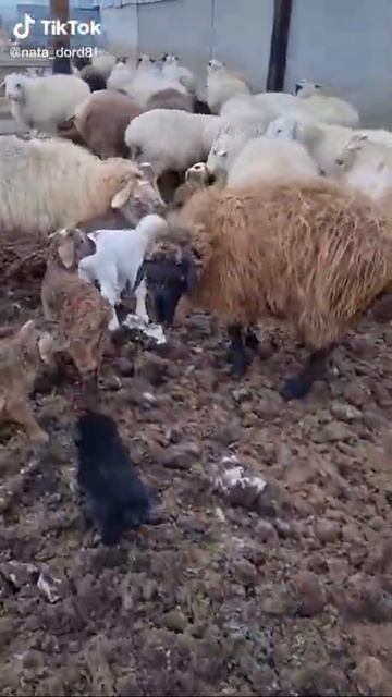 20 марта 2022 г. смотреть онлайн