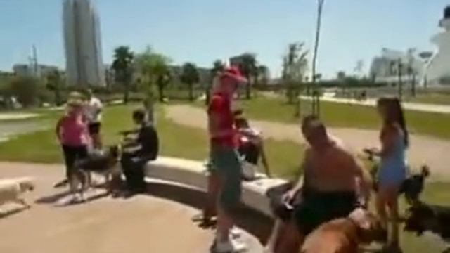 CapsiCab riding for Royal Canin смотреть онлайн