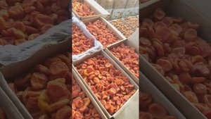 Рынок курага (бозори сурх)