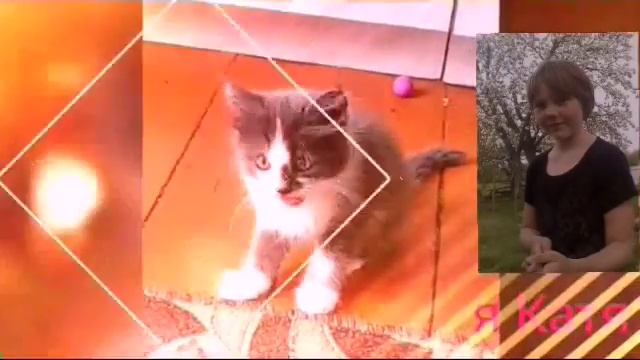 Ах какое небо школьники первый раз в школу идут будит 1й звание 1й урок смотреть онлайн