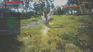 Black Desert 2025.02.14 Тоса фарм Разбойников.