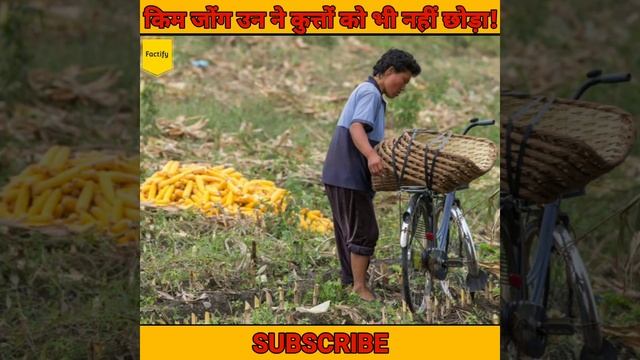 किम जोंग उन ने कुत्तों को भी नहीं छोड़ा 😭 || Kim Jong Un || Factify || #short смотреть онлайн