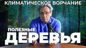 Климатическое ворчание 47 | Полезные деревья