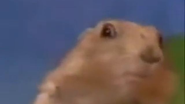 12345 смотреть онлайн