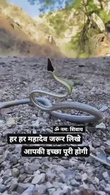 🙏ॐ नमः शिवाय🙏#shorts#short#mahakal#status#mahadev#hindu#shorts#bholenathstatus #trending#krishna смотреть онлайн