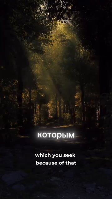 Вибрации дохода мечты: как перейти на новый уровень?