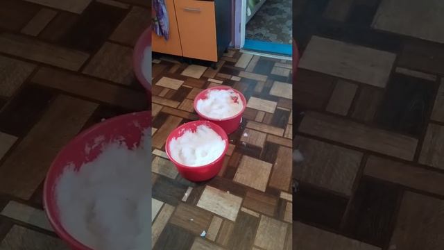 хорёк Тима и Чуня 😂👍👍👍 смотреть онлайн