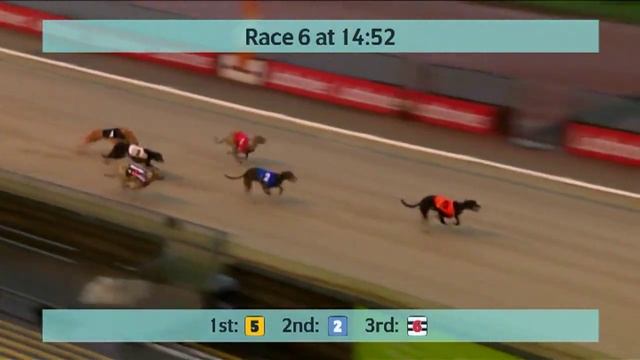 Monmore Greyhounds Races on 24th December 2021 смотреть онлайн